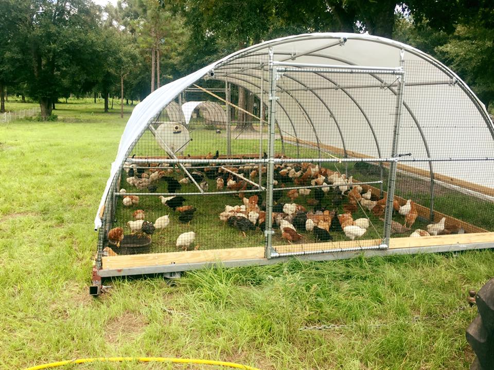 housing – Pastured Poultry Talk