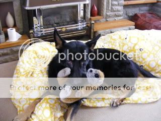 DSCF1115.jpg