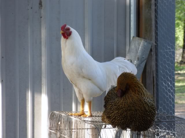Easter2010317-1.jpg