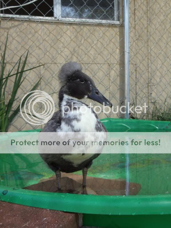 20110329_19.jpg