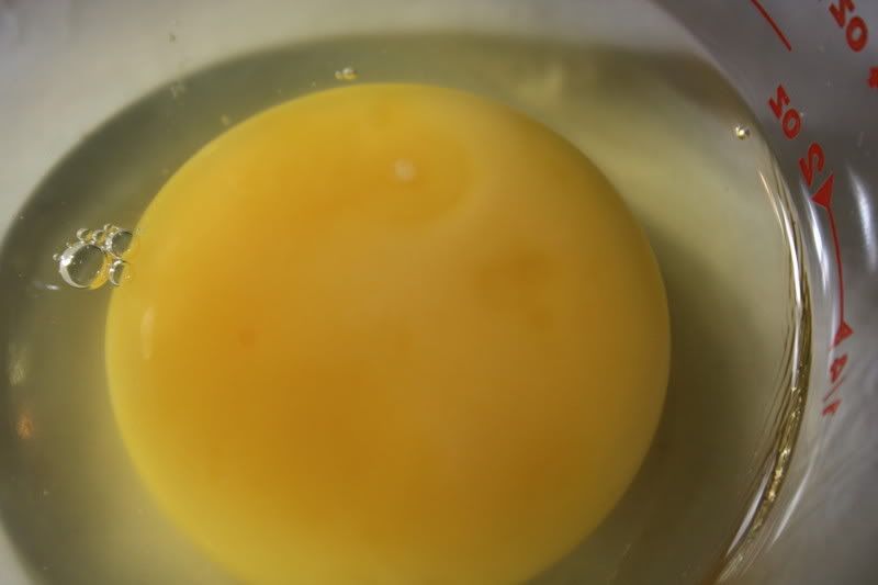 uploadchickenegg.jpg