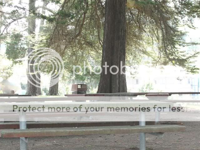picnictables.jpg