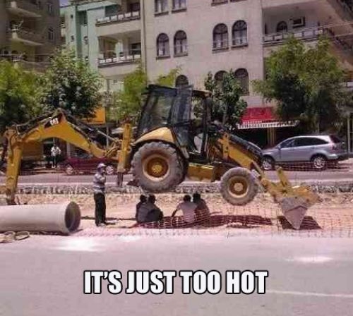 joke-funny-photo-It-is-just-too-hot.jpg