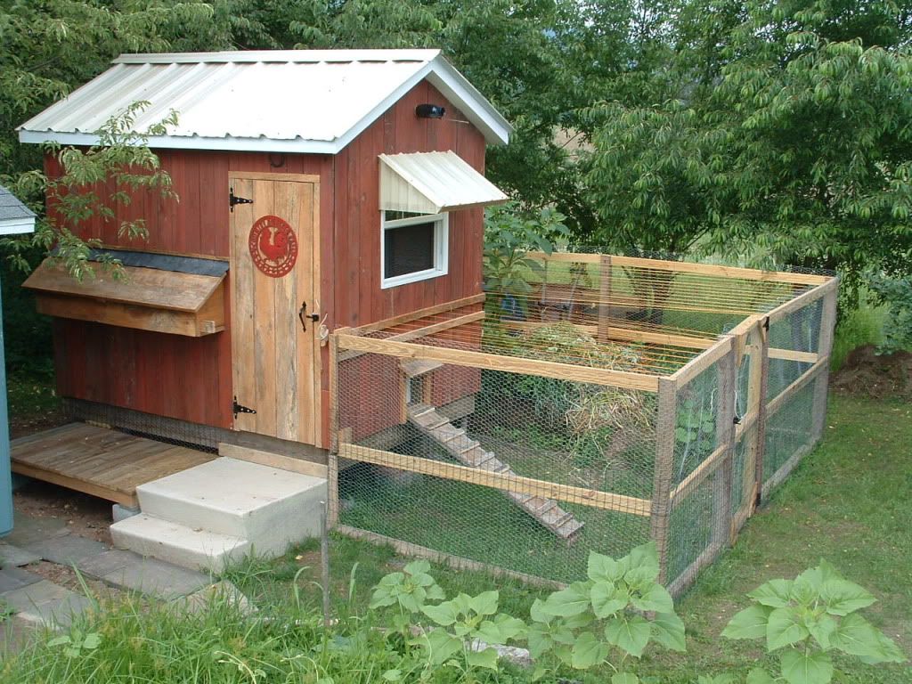 finishedcoop008.jpg