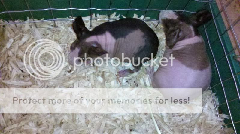 2012-01-08_20-01-36_374.jpg