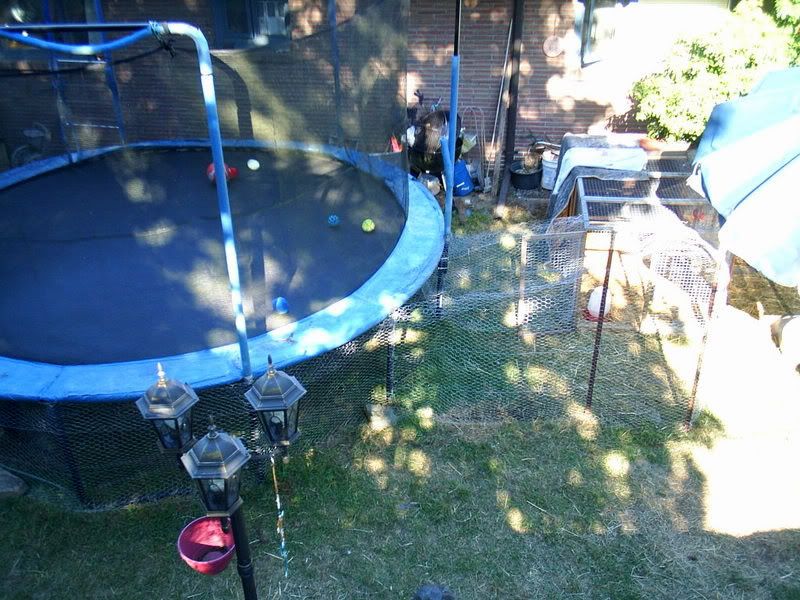 trampolinepen009.jpg