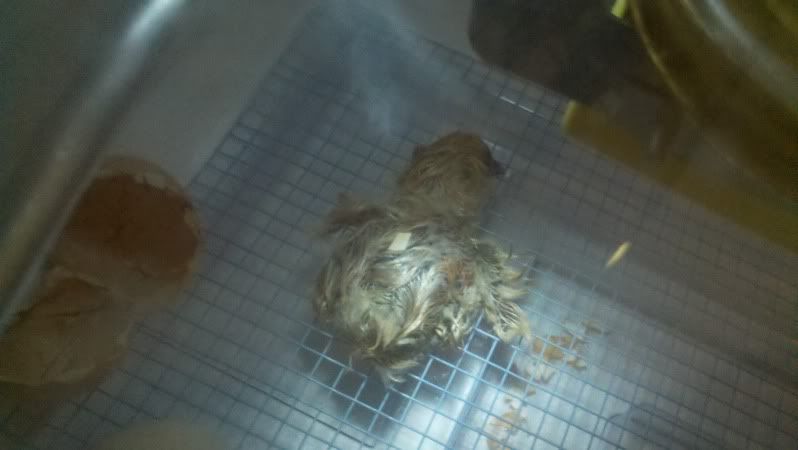 2011-08-09_10-16-49_719.jpg