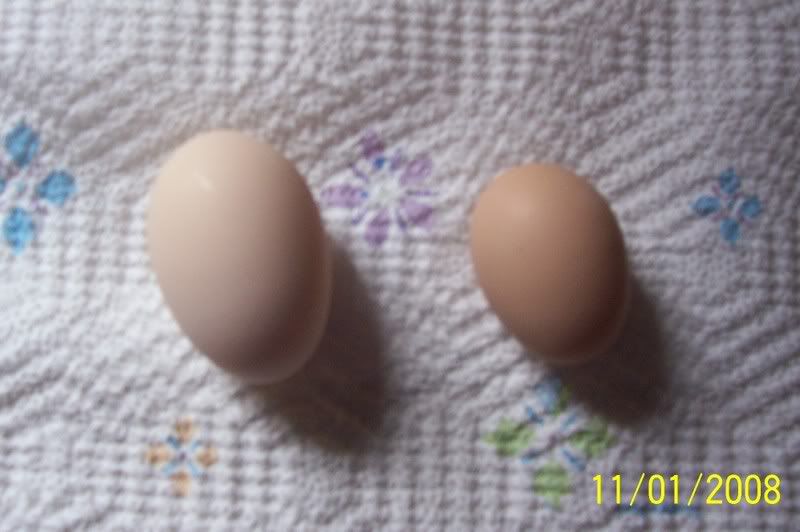 100_5979.jpg
