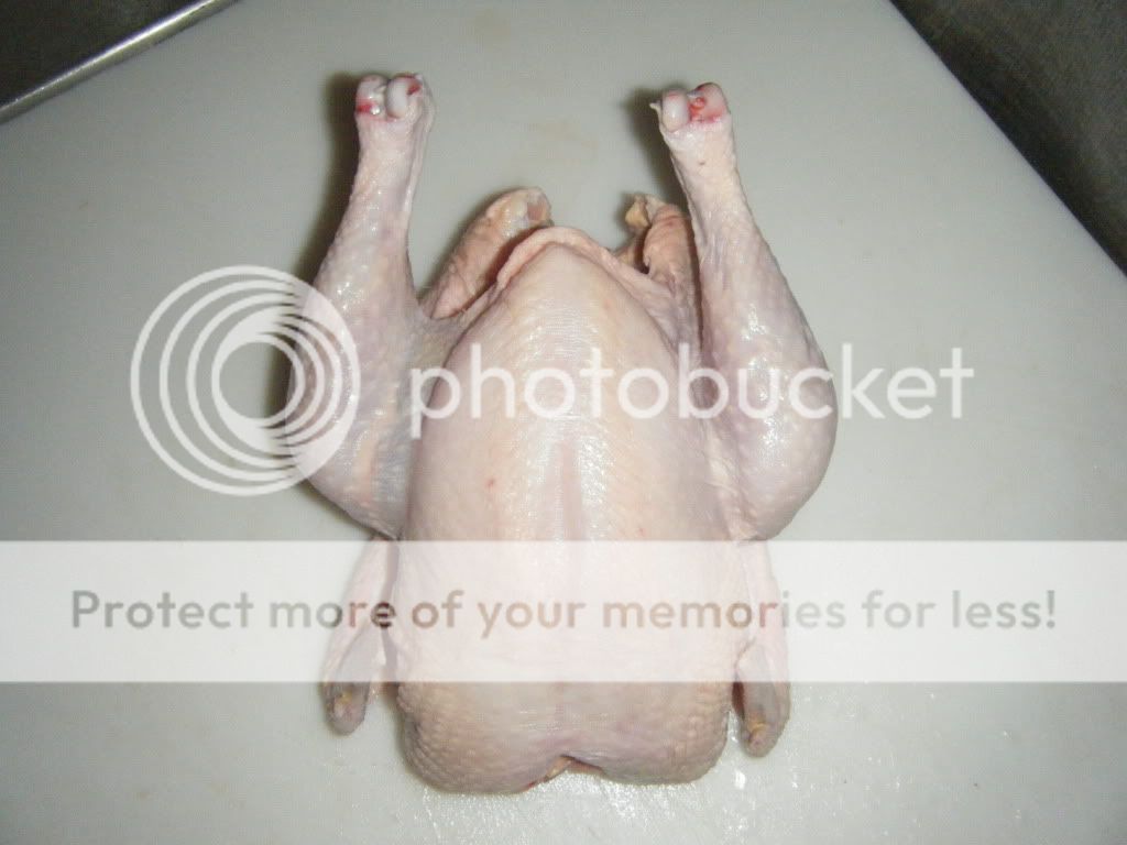 DSCF3738.jpg