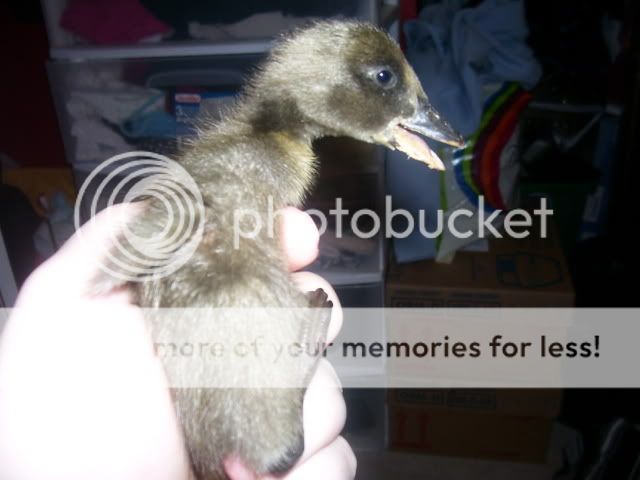 100_2569.jpg