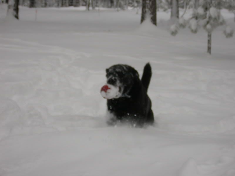 December262008012.jpg