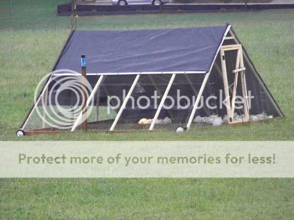 100_3769.jpg