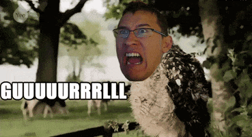 200_s.gif