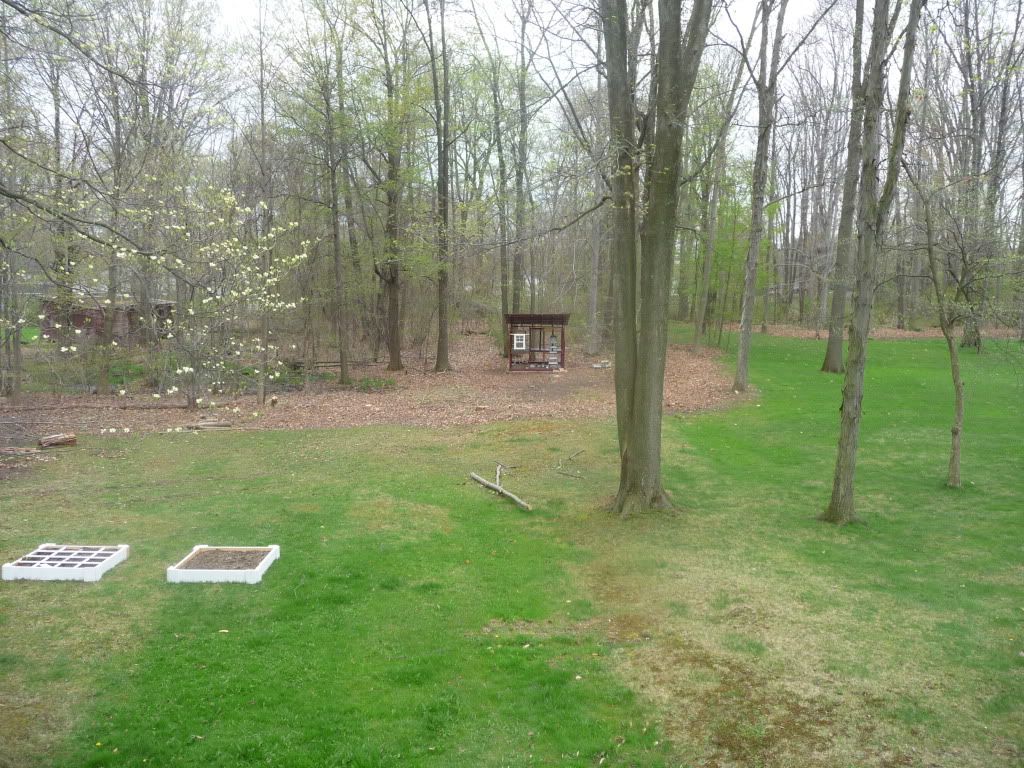 P1010334.jpg