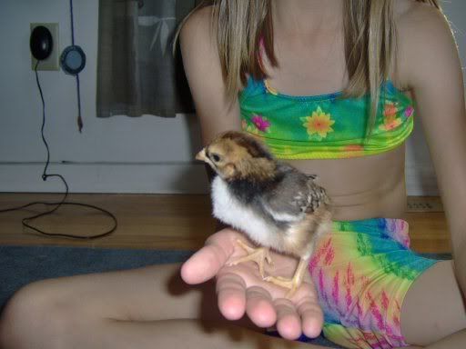 ducksngeese043.jpg