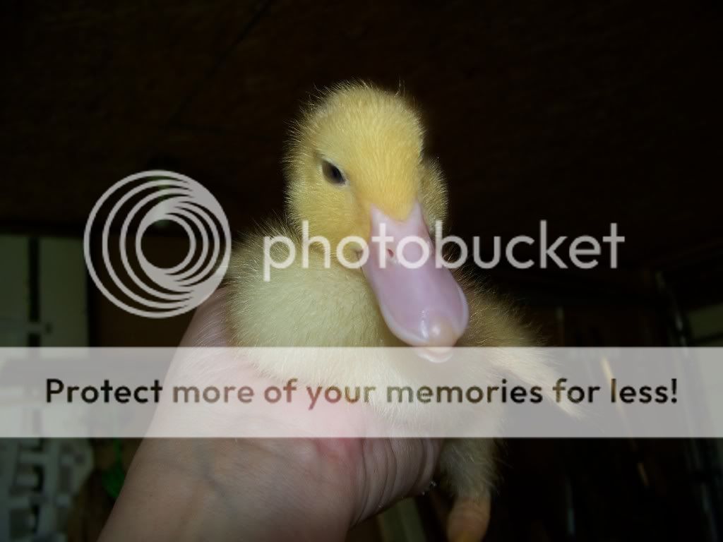 100_1140.jpg
