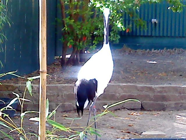 DSC08439.jpg