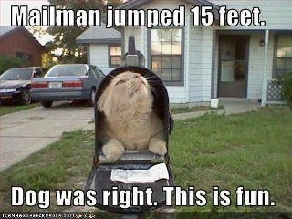 3a919e042a981881a16dfe827b065768--funny-things-funny-stuff.jpg