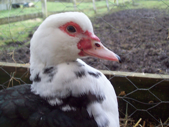 100_5860.JPG