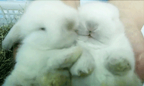 tumblr_lzuy4iifTo1r7hgs0o1_500.gif