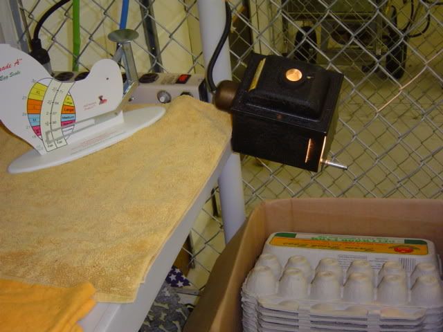 DSC03317-1.jpg