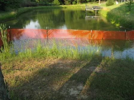 pondfence.jpg