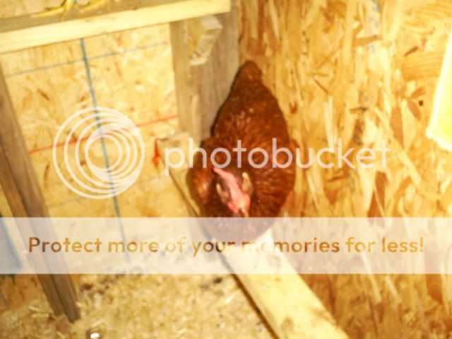 camera004-1.jpg