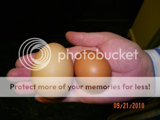 100_2406.jpg