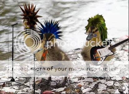 oddanimals161.jpg