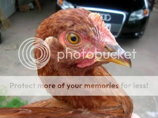 DSCN0111.jpg