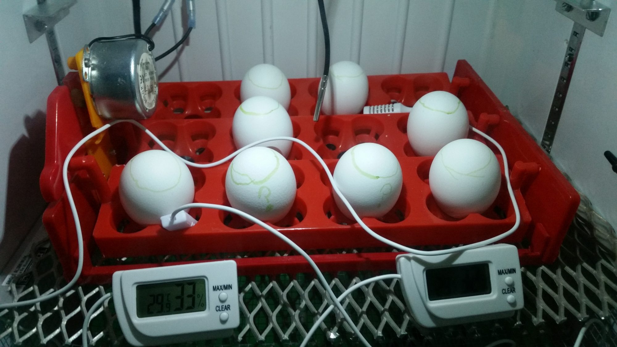 900x900px-LL-1a58ec05_20160205_214553.jpeg