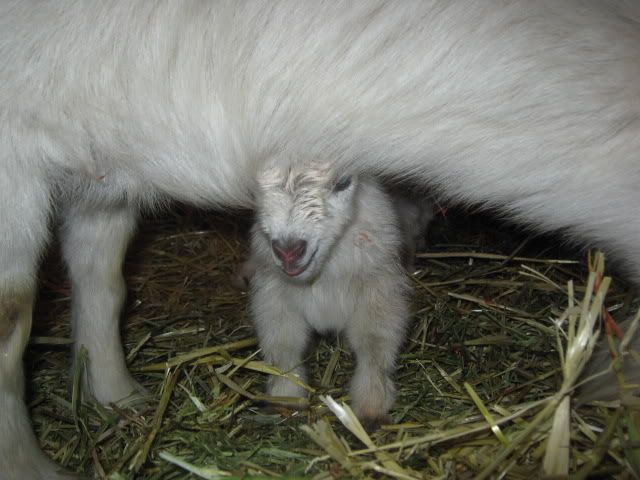 harleyandherkids019.jpg