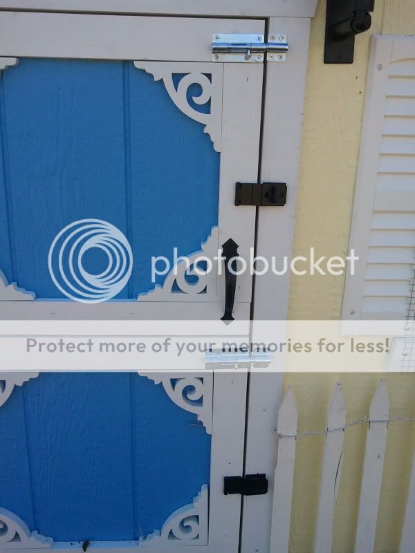 2011-03-13154809.jpg