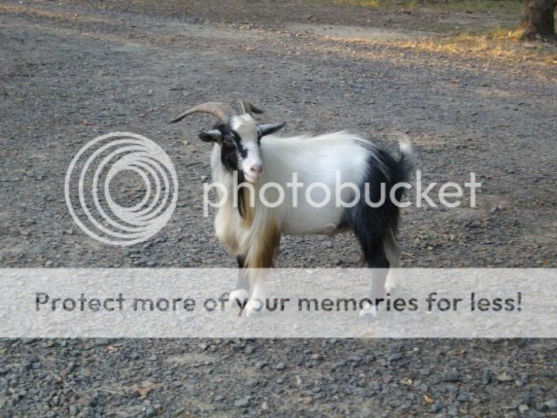 IMGP0214.jpg