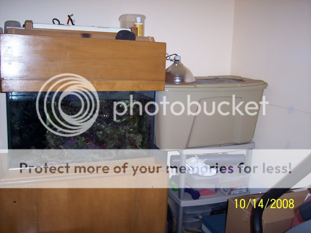 100_2820.jpg