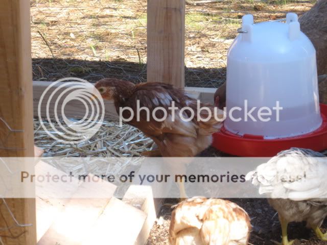 April2010326.jpg