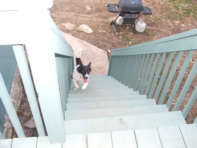 noahnovemberandgoose027.jpg