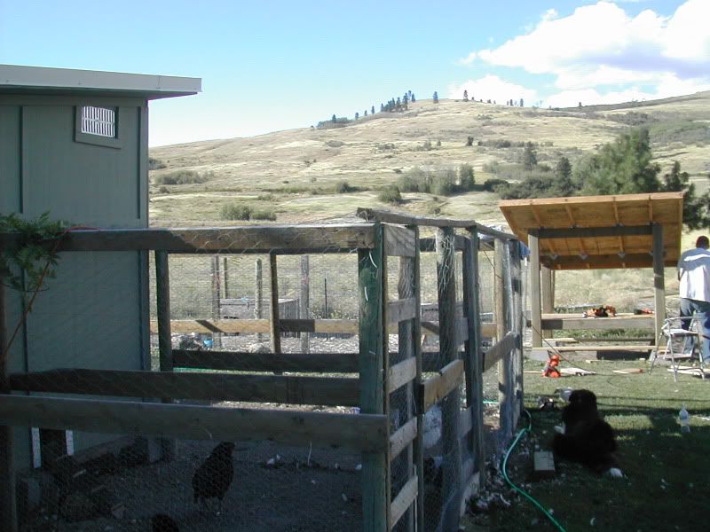 DSCN4746.jpg