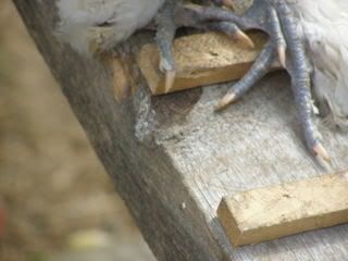 20080713_46.jpg