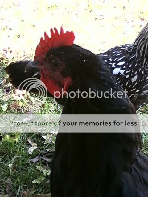 img1248807345286.jpg