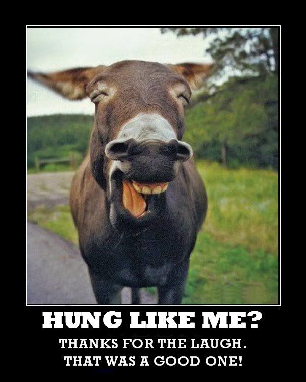hung.jpg