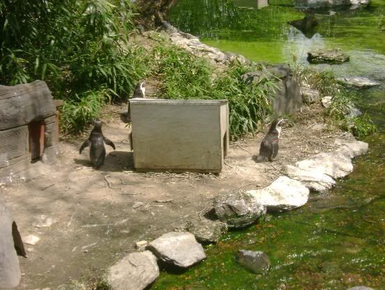 zoo20.jpg