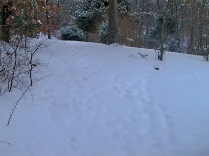 100_3426.jpg