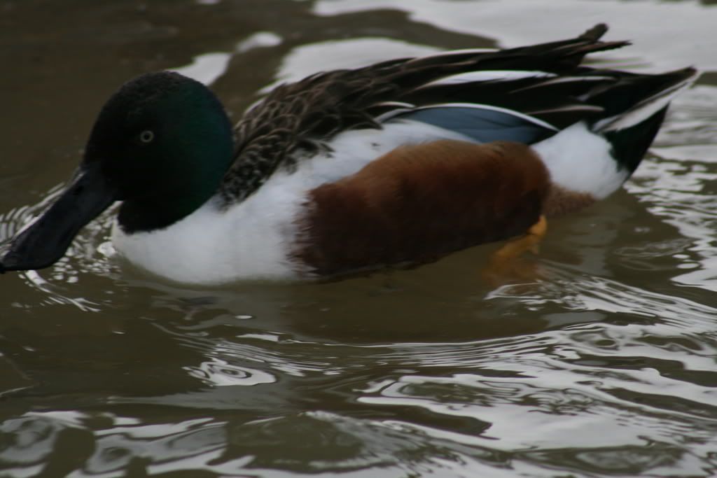 IMG_1592.jpg