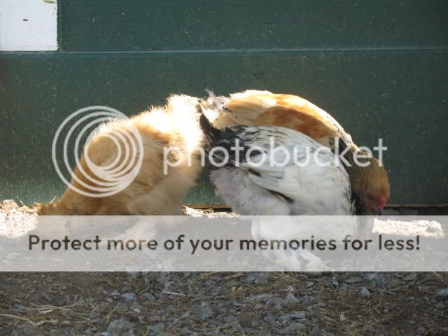 122.jpg