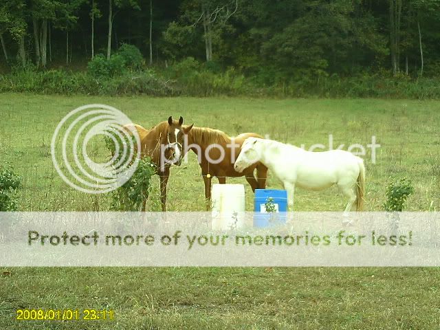 PICT0015.jpg