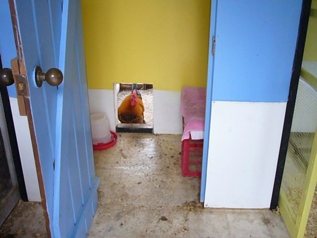 Pi-1.jpg