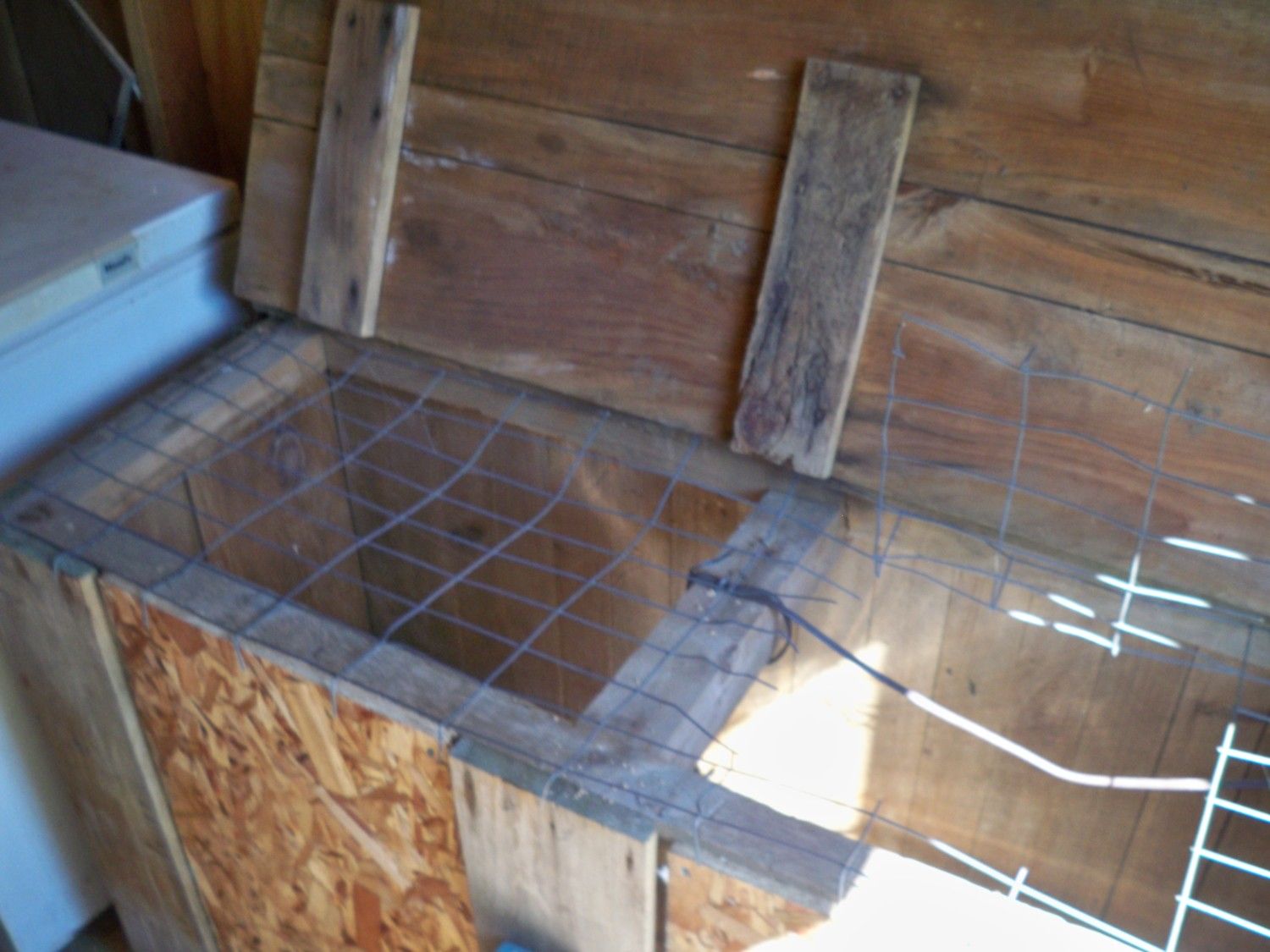 200x200px-ZC-71c6f0a6_wayneschickens5-19-2012048.jpeg