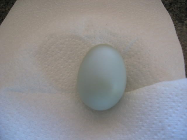 firstegg9142008.jpg