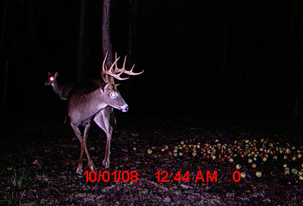 1049938645_XfXVS-M.jpg
